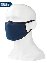 Reusable Mask with Filter
