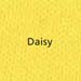 garment color Daisy