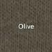 garment color Olive